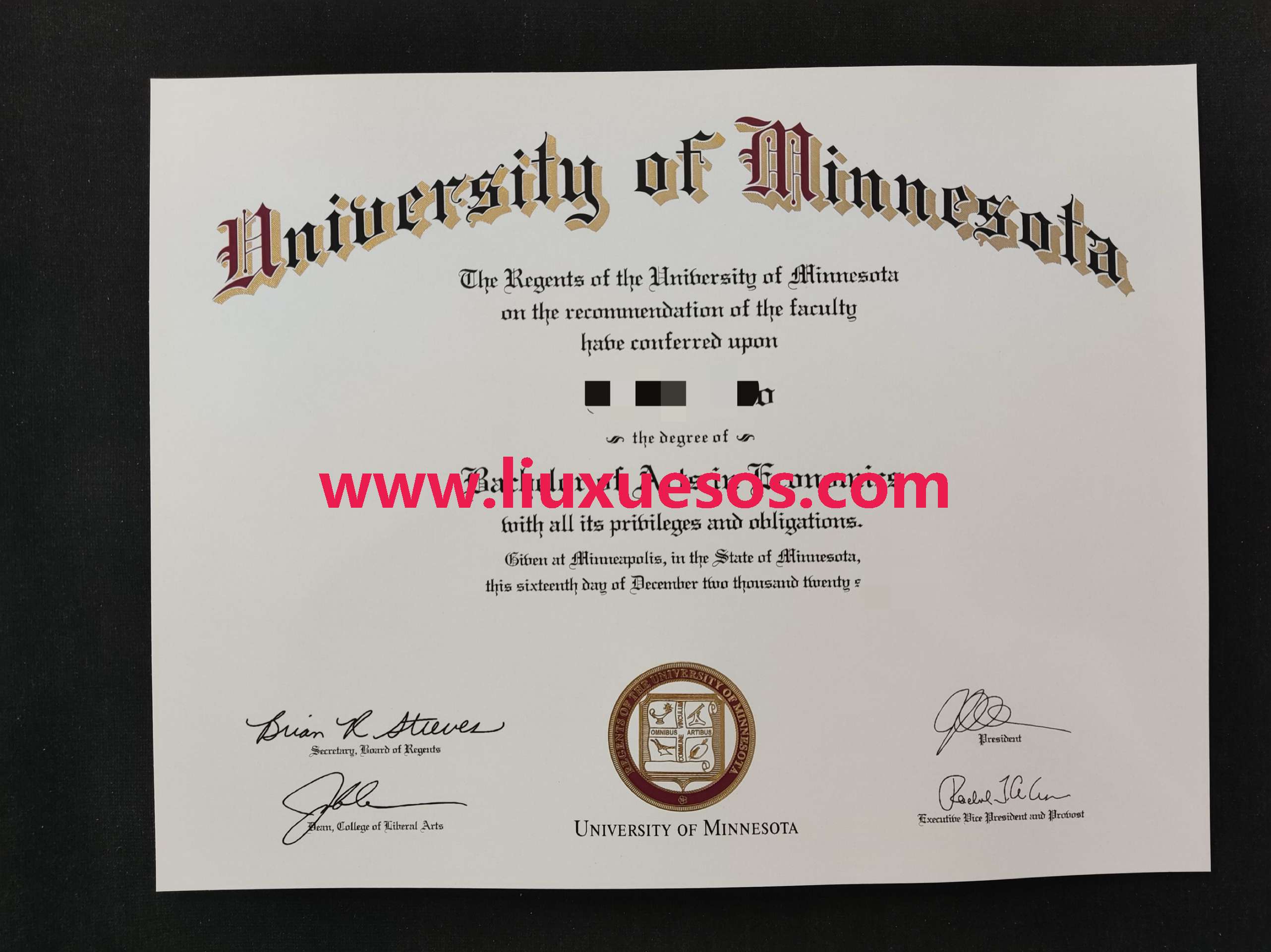 美国明尼苏达大学（University of Minnesota）.png