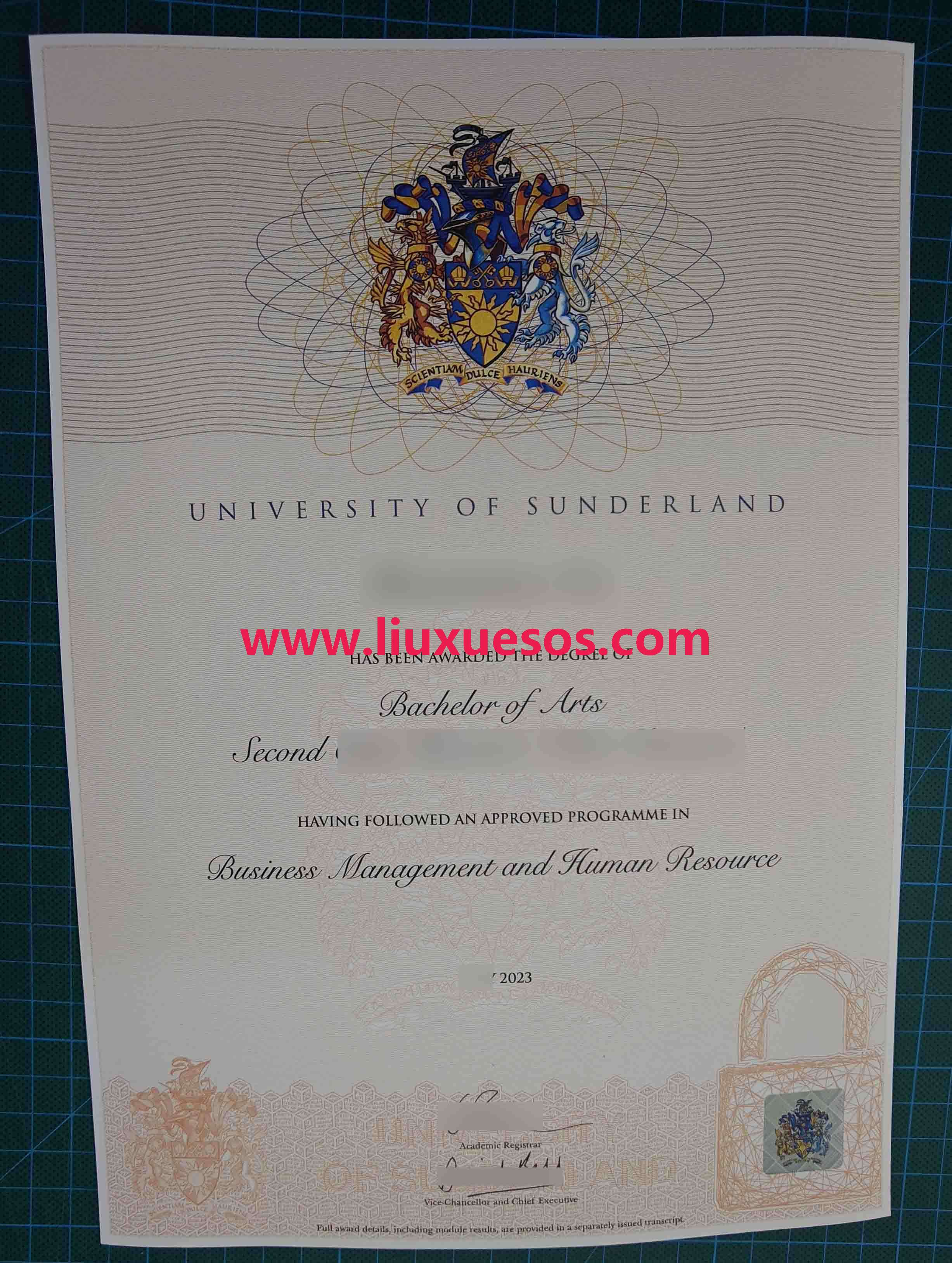 桑德兰大学毕业证.jpg
